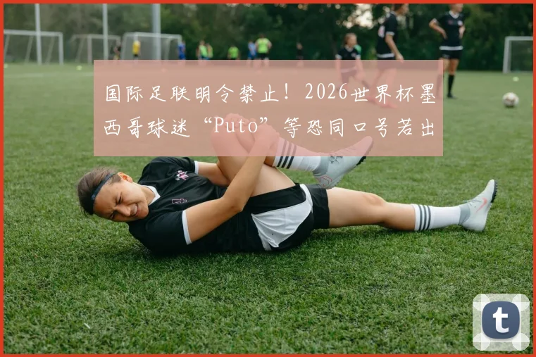 国际足联明令禁止！2026世界杯墨西哥球迷“Puto”等恐同口号若出现将遭严厉处罚，具体规则解读